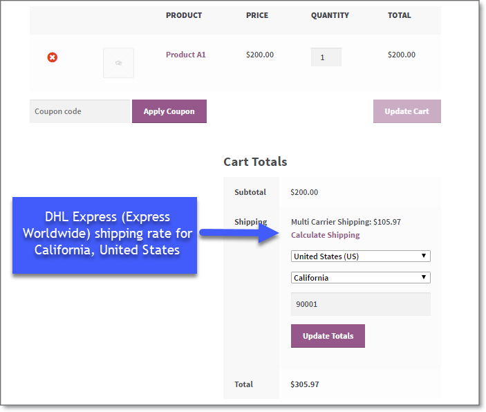DHL rates on the cart