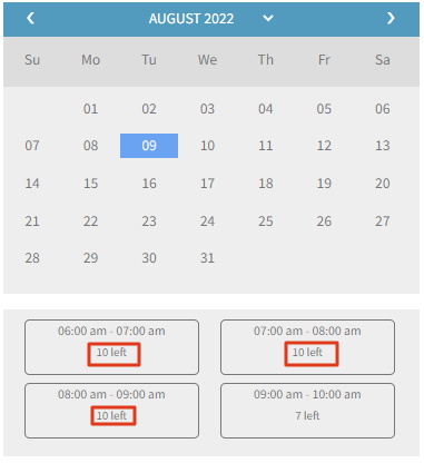 woo bookings calendar view
